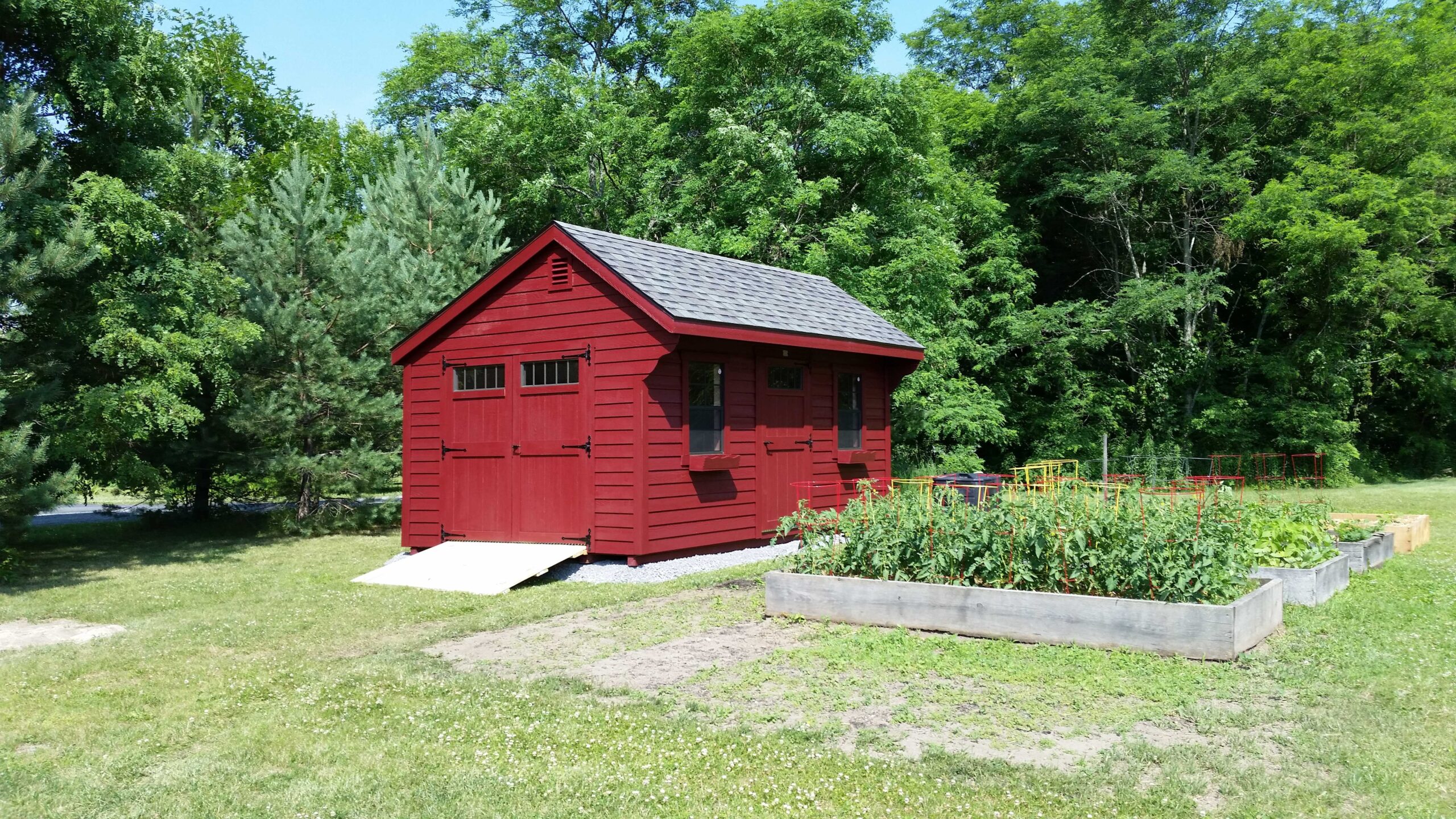 A red Smartside shed in a yard next to a garden.